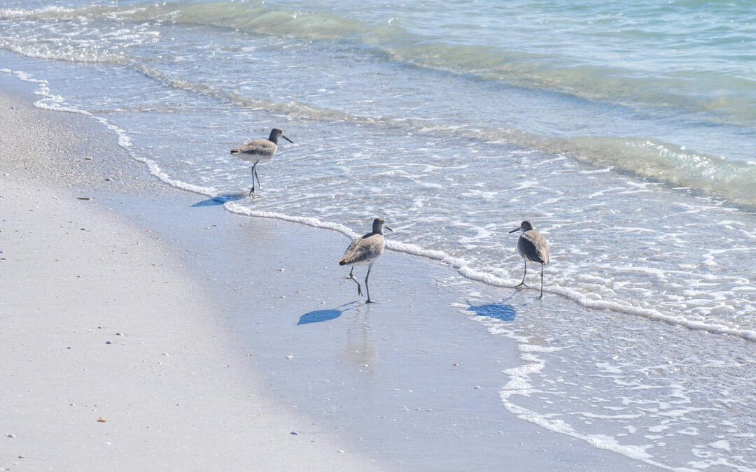 National Recovery Month: How South Florida's Unique Environment Supports Long-Term Sobriety